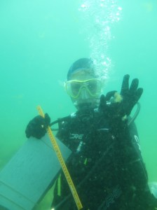 ???????????????????????????????