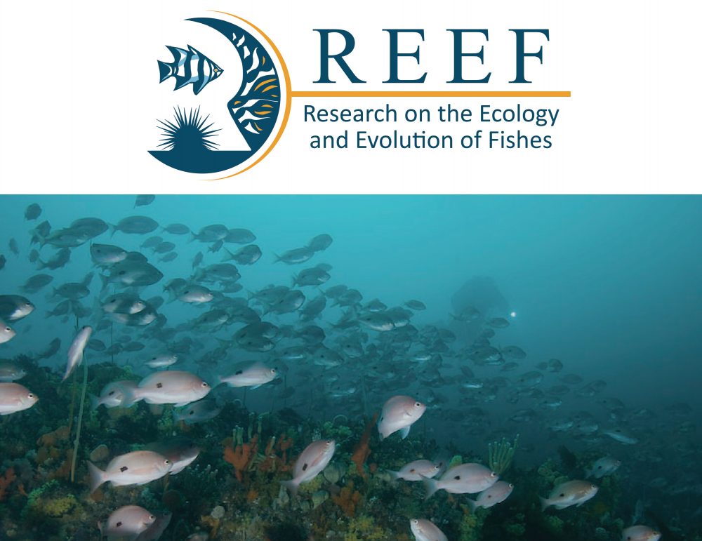 Research on the Ecology and Evolution of Fishes